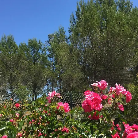 Villa Tropezienne Saint-Raphaël